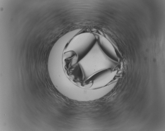 X0000067901010200605111911