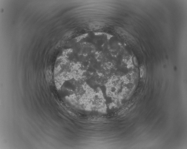 X0000067901011200605111911