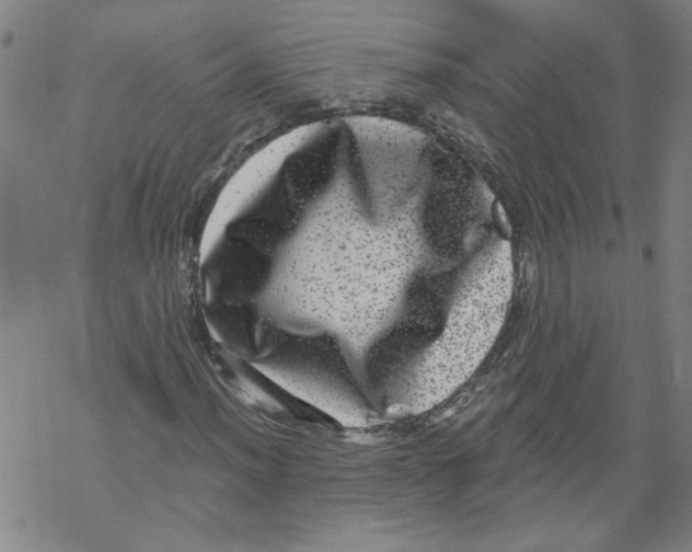 X0000067901012200605111911