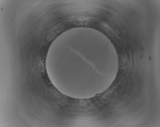 X0000067901013200605111911