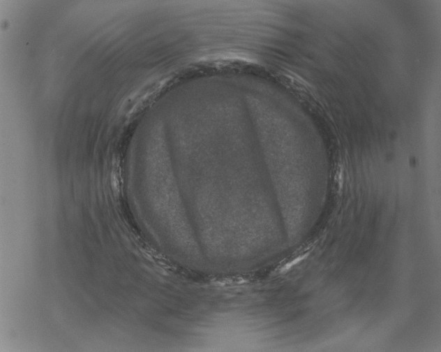 X0000067901014200605111911