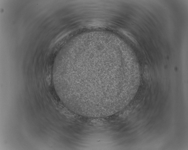 X0000067901015200605111911