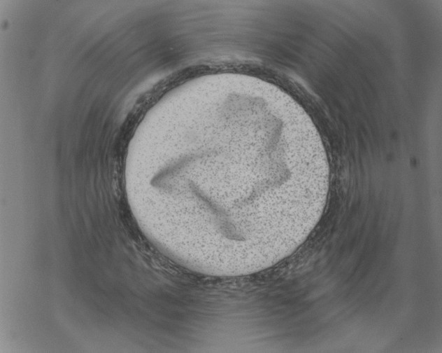 X0000067901016200605111911