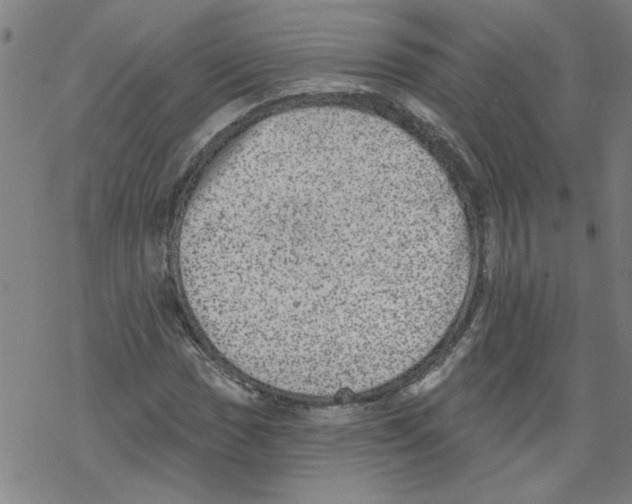 X0000067901017200605111912