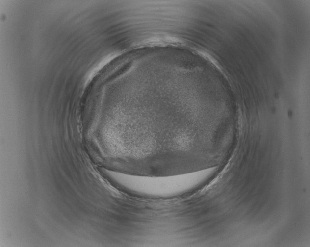 X0000067901018200605111912