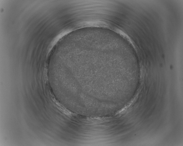 X0000067901019200605111912