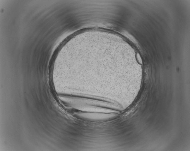 X0000067901020200605111912