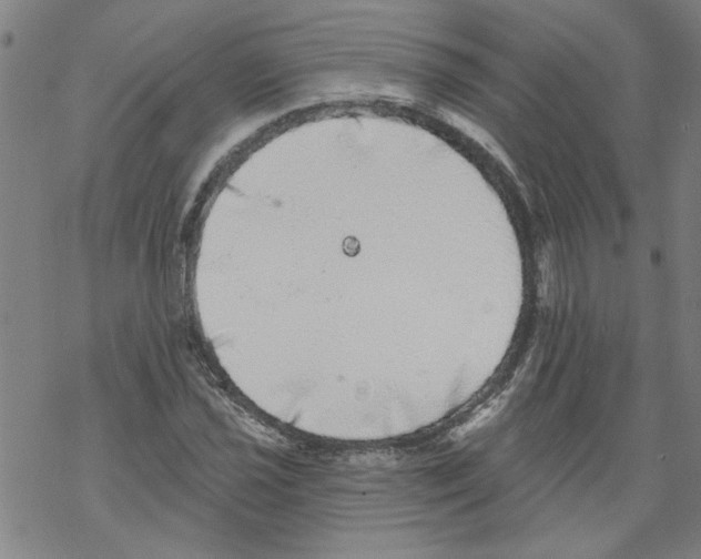 X0000067901021200605111912