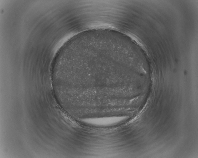 X0000067901022200605111912