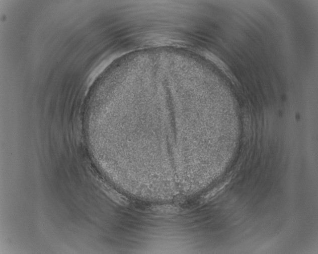 X0000067901023200605111912