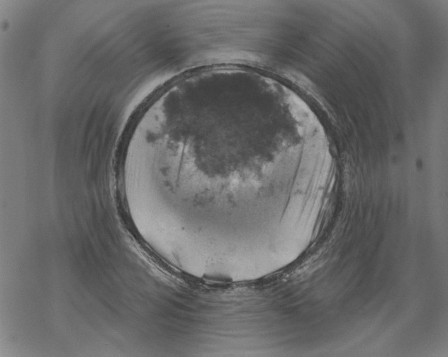 X0000067901024200605111912