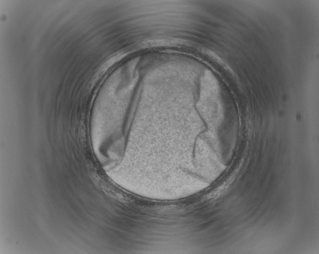 X0000067901025200605111912