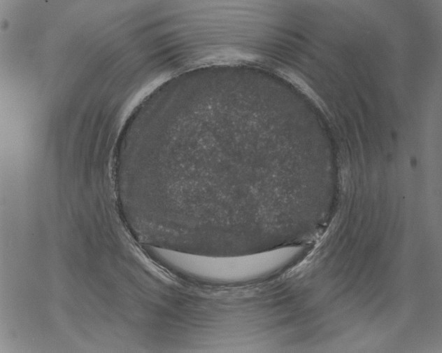 X0000067901026200605111912