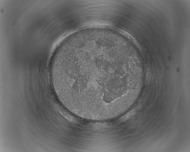 X0000067901027200605111912