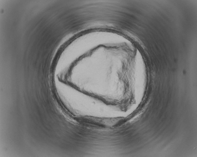 X0000067901029200605111912