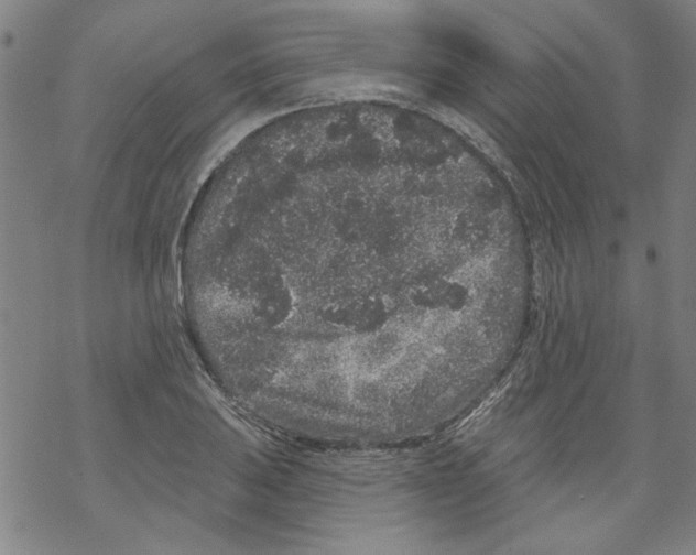 X0000067901031200605111912