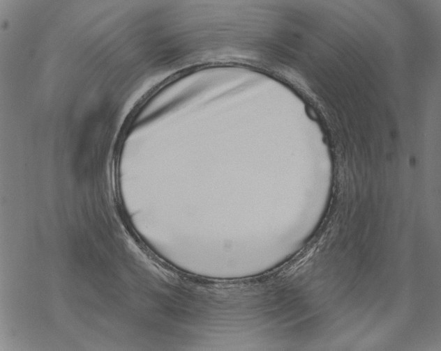 X0000067901032200605111912