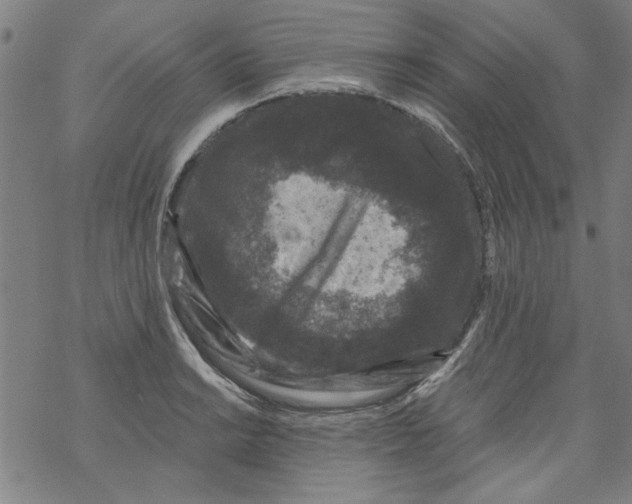 X0000067901038200605111912