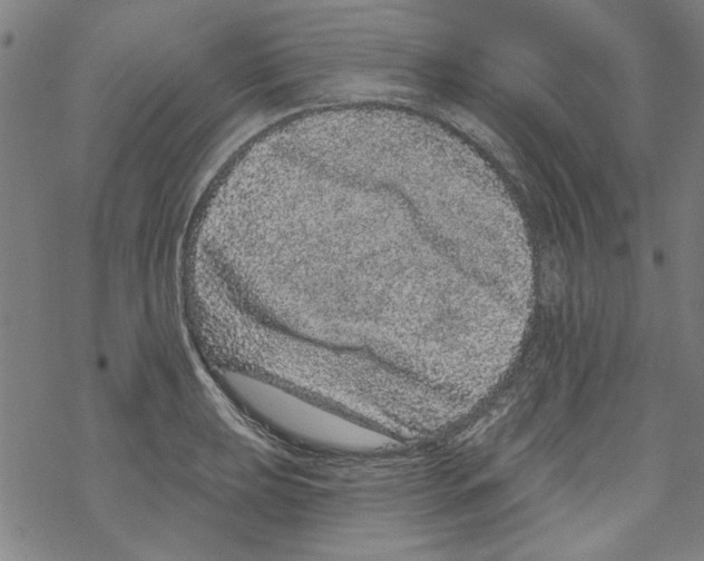 X0000067901039200605111912