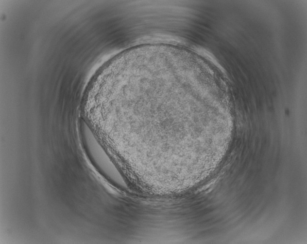 X0000067901040200605111912