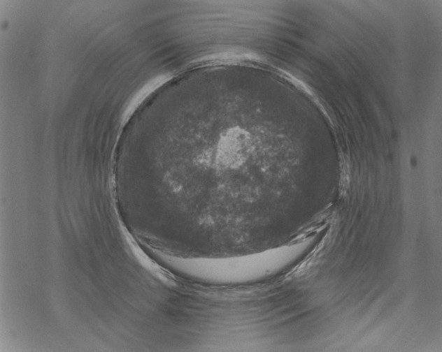 X0000067901042200605111912