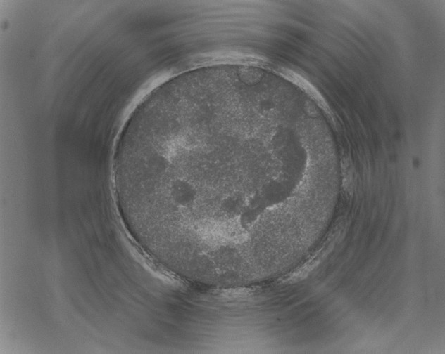 X0000067901043200605111912