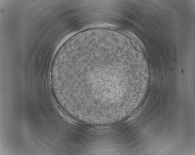 X0000067901044200605111912