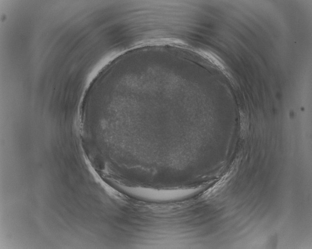 X0000067901046200605111912