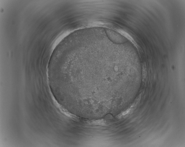 X0000067901047200605111912