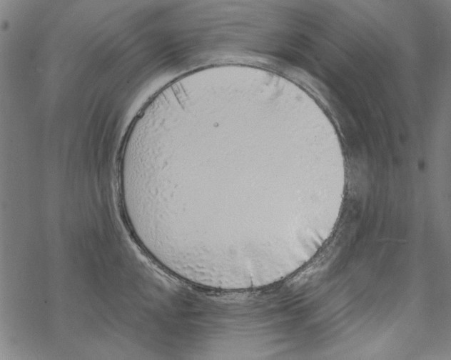 X0000067901048200605111912