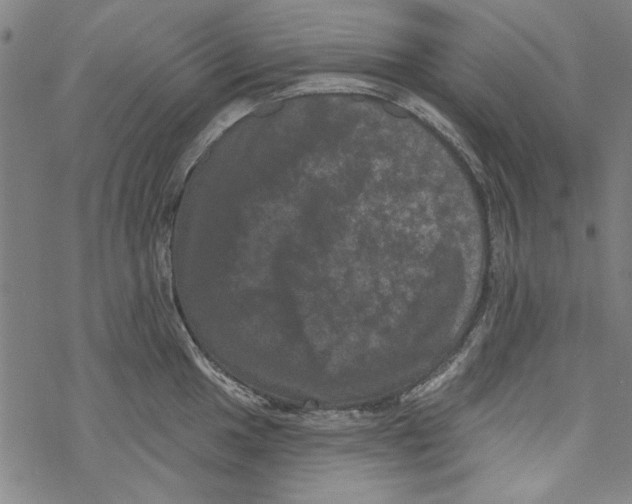 X0000067901049200605111912