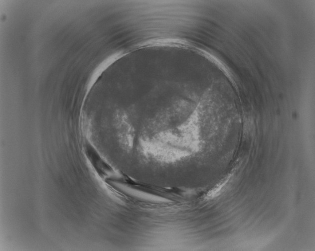 X0000067901050200605111912