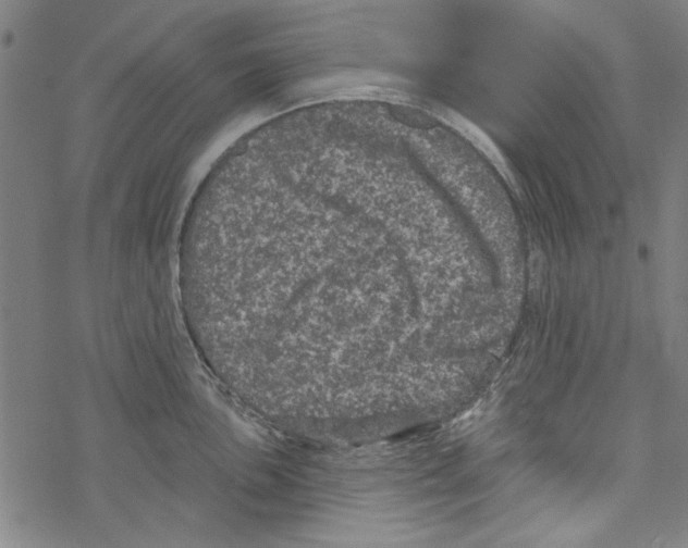 X0000067901051200605111912