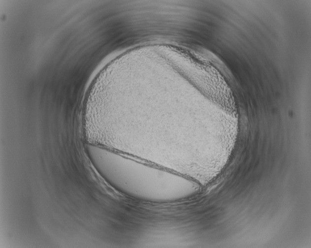 X0000067901052200605111912