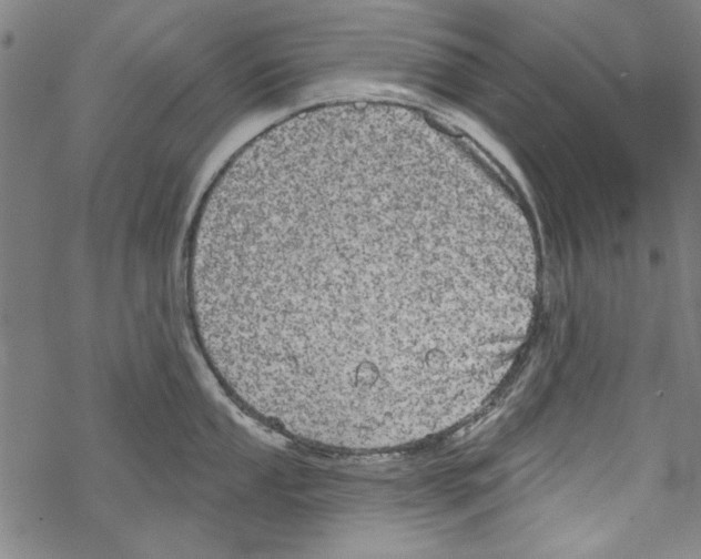 X0000067901053200605111912