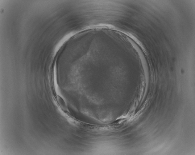 X0000067901054200605111912