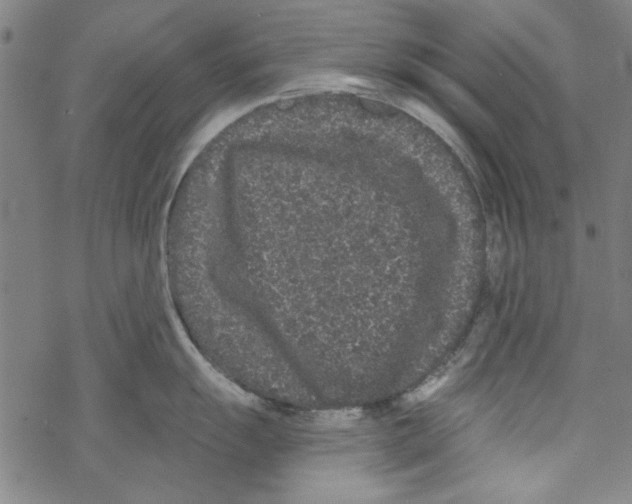 X0000067901055200605111912