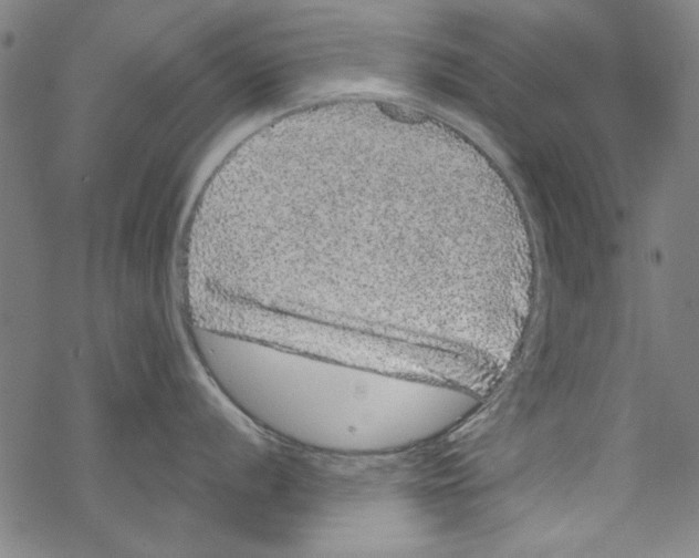 X0000067901056200605111912