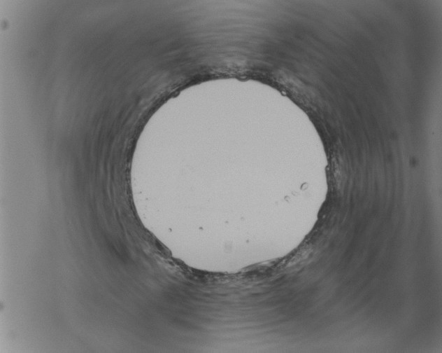 X0000067901057200605111911