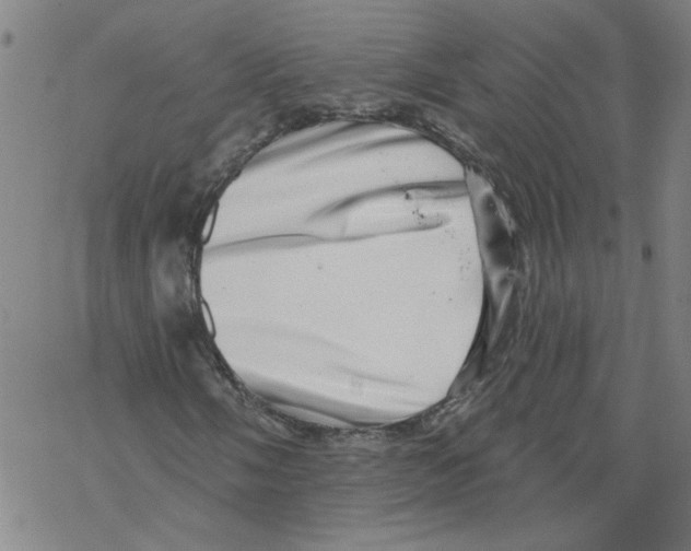 X0000067901058200605111911