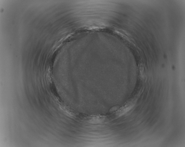 X0000067901060200605111911