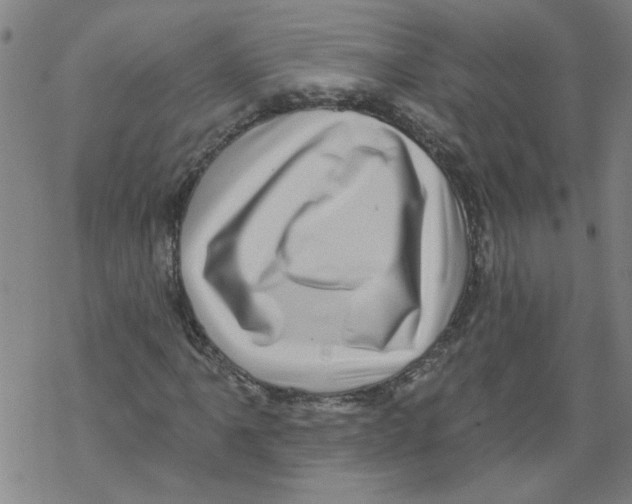 X0000067901061200605111911