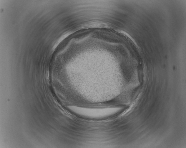 X0000067901065200605111911