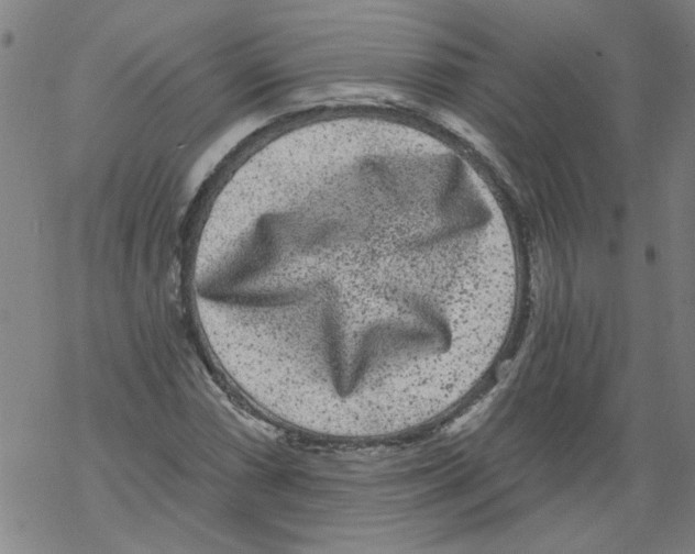 X0000067901066200605111911