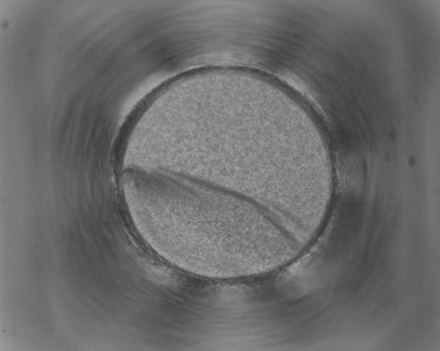 X0000067901070200605111911