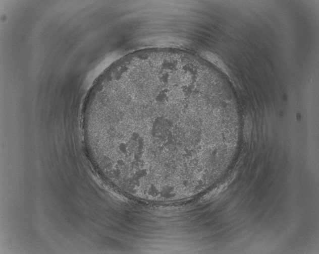 X0000067901071200605111911