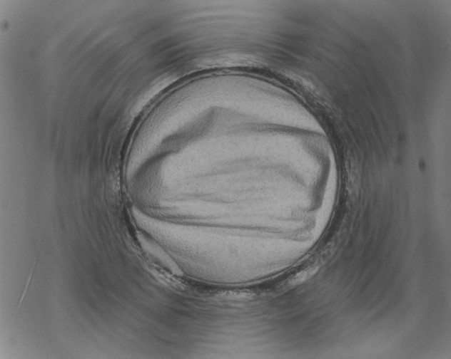 X0000067901073200605111911