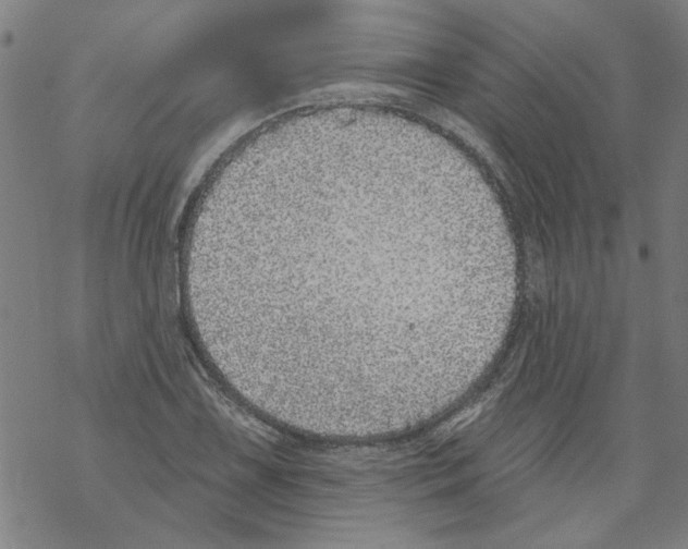 X0000067901075200605111911