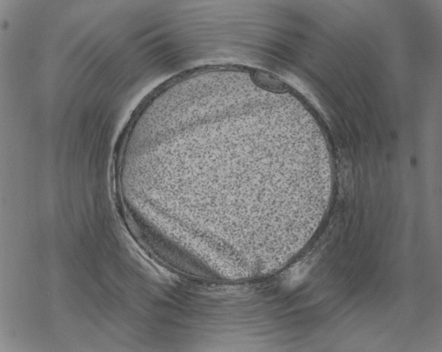 X0000067901076200605111911