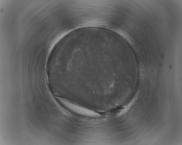 X0000067901077200605111911